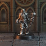 Irrbloss Miniatures Oldschool: William the Wize