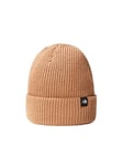 THE NORTH FACE Urban Switch Almond Butter Newspaper Cap, One Size