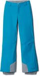 Columbia Womens Bugaboo Omni-Heat Ski Pants - Regular