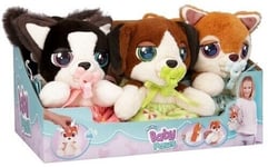 GG131	lot de 6 pcs : Mini chien en peluche Baby Paws dans un sac avec son 15 cm