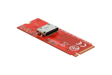 Delock - interfaceadapter - M.2 NVMe Card - PCIe 4.0 x4