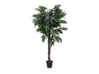 EUROPALMS Jungle tree Mango, artificial plant, 150cm, Europalms Djungelträd Mango, 150cm