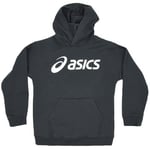 Veste enfant Asics  Graphic Hoodie Jr