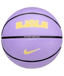 Balle Nike Basket-Ball N100437251707 Lebron Playground 07