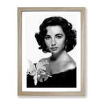 Elizabeth Taylor No.1 Modern Framed Wall Art Print, Ready to Hang Picture for Living Room Bedroom Home Office Décor, Oak A4 (34 x 25 cm)