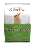 Science Selective Junior Rabbit