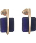 Skagen Ladies Sea Glass Earrings