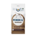 Forza 10 Active Line Intestinal Colon Phase 1 med fisk - Ekonomipack: 2 x 10 kg