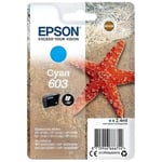 Epson - Cartouche d'encre 603 Cyan - Etoile de mer (C13T03U24010)