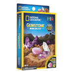 National Geographic JM80554U Mini Gemstone Dig Gem Excavation Kids with Authentic Amethyst, Rose Quartz | STEM Educational Science Kits Gifts for 8+ Year Old Boys and Girls, Multicolor, Mittel