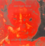 The Legendary Pink Dots  Any Day Now  LP/Vinyl