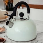 Cream Stovetop Kettle Whistling Spout Gas Electric Induction Hob Stainless Steel