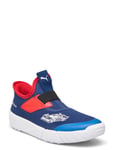 Bmw Mms Slipkart Ac Ps Sport Sneakers Low-top Sneakers Blue PUMA Motorsport