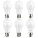 Linkind Ampoule LED E27 Blanc Froid, 13W Équivalent 100W, 5000k Lumière Froide 1521lm, Ampoule Edison A60 Gros Culot à Vis, No Dimmable, 220v-240v, Lot de 6