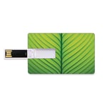 8GB USB Flash Thumb Drives Green Bank Credit Card Shape Business Key U Disk Memory Stick Storage Wavy Striped Texture of a Green Leaf Macro Close Up Graphic Fresh Plant Decorative,Lime Green Apple Gr