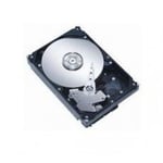 MicroStorage 1TB 7200rpm 2,5" 1000 Go SAS