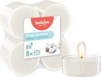 Bolsius - True Scents - Lot de 8 Bougies Chauffe-Plat Maxi Parfum - Coton Frais - Durée de Combustion: 8 Heures - diamètre 57 mm - Extraits naturels - Cire végétalienne - sans Huile de Palme