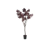 Cotinus konstträd burgundy