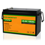 ECO-WORTHY Batterie Lithium Lifepo4 8AH 30AH 50AH 100AH 150AH 280AH 12V