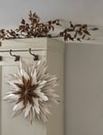 Watt & Veke Adventsstjärna Marta beige 60 cm