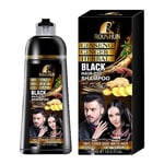 Black Hair Color Shampoo for Gray Hair Instant Hair Dye Shampoo Hair Coloring in Minutes Natural and Long lasting colour Hair Dye Shampoo for Men and Women 14.2 Fl.Oz