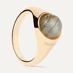 PDPAOLA LABRADORITE MOON Ring AN01-B18 52