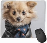 Medium Gaming Mouse Pad The Pet Pomeranian Funny Design Non-Slip Rubber Base Textured Surface Game Mouse Pads Stitched edge special surface for faster speed 25 * 30cm