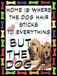 Shawprint Bloodhound Dog Fridge Magnet 100mm x 75mm HOME IS WHERE THE DOG HAIR STICKS TO EVERYTHING BUT THE DOG Novelty Gift