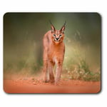 Computer Mouse Mat - Caracal African Lynx Cat Office Gift #3170