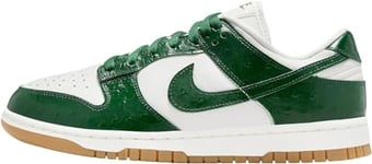 NIKE Court Lite Chaussures de Tennis pour Homme Blanc Pointure 46, Blanc/Vert, 41 EU