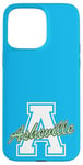 iPhone 15 Pro Max Retro Asheville Land of the Sky Case