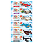 Bird Gliders Glidflygplan