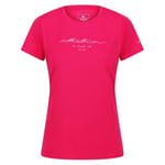 Regatta Womens/Ladies Fingal VII The Simple Life Mountain T-Shirt - 8 UK