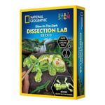 National Geographic - Gecko Dissection Lab