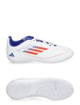 Adidas Performance F50 Club Football Boots Indoor Vit