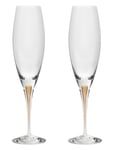 Orrefors Intermezzo Champagne Glass Gold 2-Pack Nude