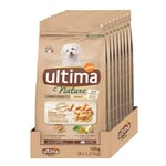 Ultima Nature Croquettes pour Chien Mini Adulte au Poulet: Pack 8 x 1,25 kg - Total: 10 kg