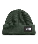 THE NORTH FACE Salty Dog Beanie Hat Thyme One Size