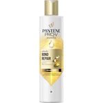 Pantene Pro-V Molecular Bond Repair Shampooing réparateur à la biotine 250 ml Formule concentrée pour cheveux secs et abîmés Protège et laisse les cheveux visiblement plus sains Enrichi en nutriments