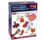 EXPLORA - Organes en Plâtre À Peindre - Anatomie du Corps Humain - 546060-8 Pièces - Maquettes Anatomiques - Peinture - Jeu pour Enfant - DIY - Loisir Créatif - Scientifique - À Partir de 4 Ans