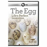 Nature: Egg: Life&#039;s Perfect Invention DVD