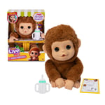 Little Live Pets - Mango, the interactive monkey, 50 interactive sounds and mout