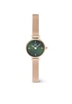 Daniel Wellington Petite Mini montre pour femme, 19 mm, Bracelet