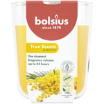 Bolsius True Scents - Mimosa - Jaune - Lot de 6 Bougies Parfumées - 9,7 x 8,5 cm - Durée de combustion: 25 heures - Avec extraits naturels - Cire végétale naturelle - Sans huile de palme