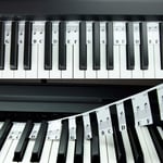 Notes De Clavier De Piano Pour Débutant, Étiquettes De Notes Amovibles Pour L'Apprentissage, 88 Touches Pleine Grandeur, Réutilisable, Pas Besoin D'Autocollants