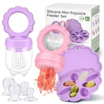 JONRRYIN Tetine Grignoteuse Bébé, Sucette Fruit pour Bebe, Tetine Fruits Bebe en 3 Tailles, Tétine d'alimentation 2 Grignoteuses + 6 Tetines pour Enfants de 3 à 24 Mois sans BPA