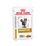 Royal Canin Veterinary Feline Urinary S/O kastike tai mousse - 12 x 85 g paloja kastikkeessa