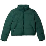 Manteau Lacoste  -