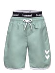 Hummel Hmlswell Board Shorts Grön