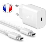 Packa supersnabbladdare + kabel för Cat S52 laddare 25W Ultrakraftig NY GENERATION med dubbel typ C-KABEL